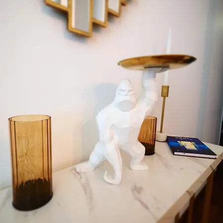 Le Patio Lafayette De Standing Coeur De アパート ヴィシー