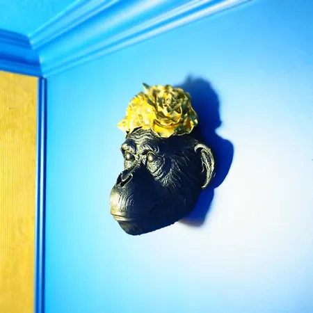 アパート Le Patio Lafayette De Standing Coeur De