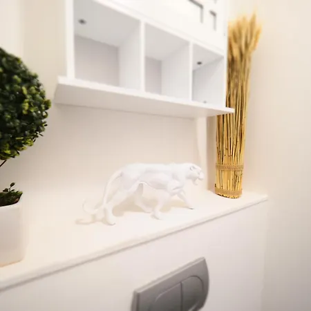 Le Patio Lafayette De Standing Coeur De アパート ヴィシー