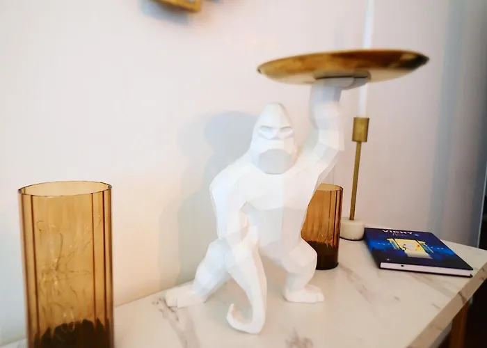 Le Patio Lafayette De Standing Coeur De Lejlighed Vichy