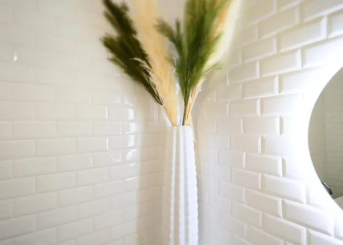 Le Patio Lafayette De Standing Coeur De * Vichy