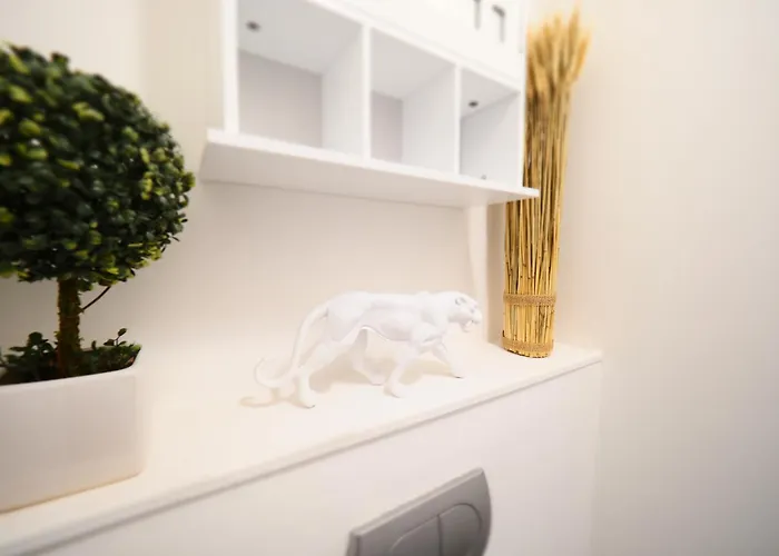 Le Patio Lafayette De Standing Coeur De Lejlighed Vichy