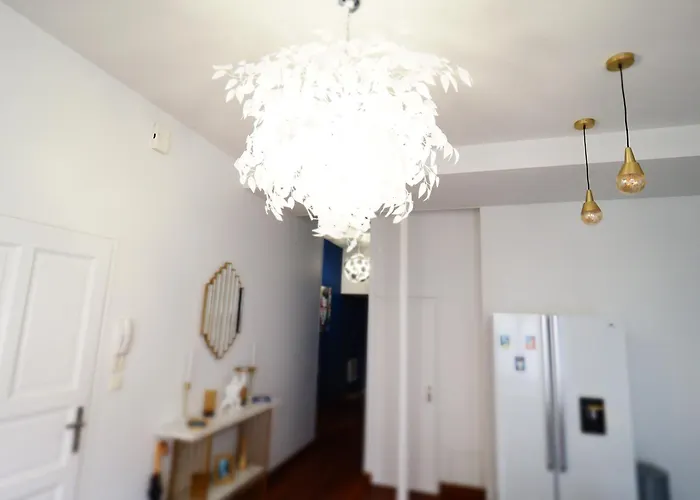 Le Patio Lafayette De Standing Coeur De Vichy